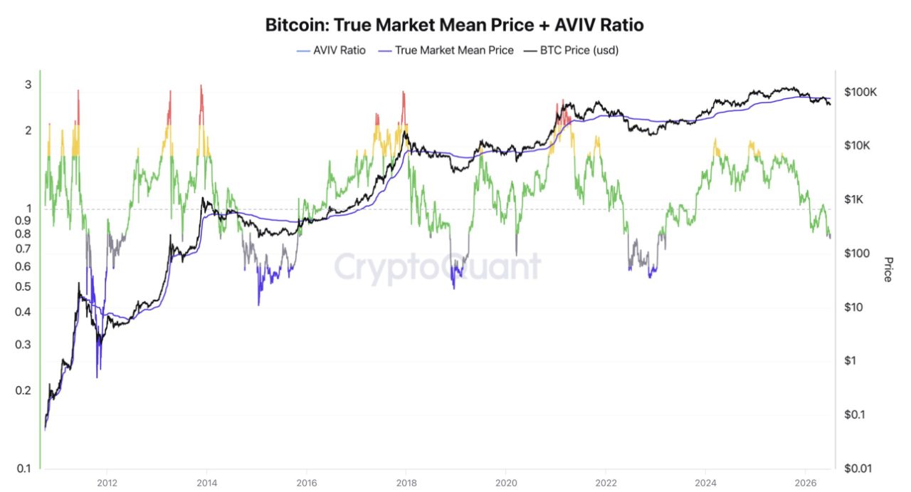 True Market Mean bei rund 76'700 als Widerstand, die AVIV-Ratio bei rund 0,8, die aktiven Investoren im Schnitt 20 Prozent im Verlust. Quelle: CryptoQuant.