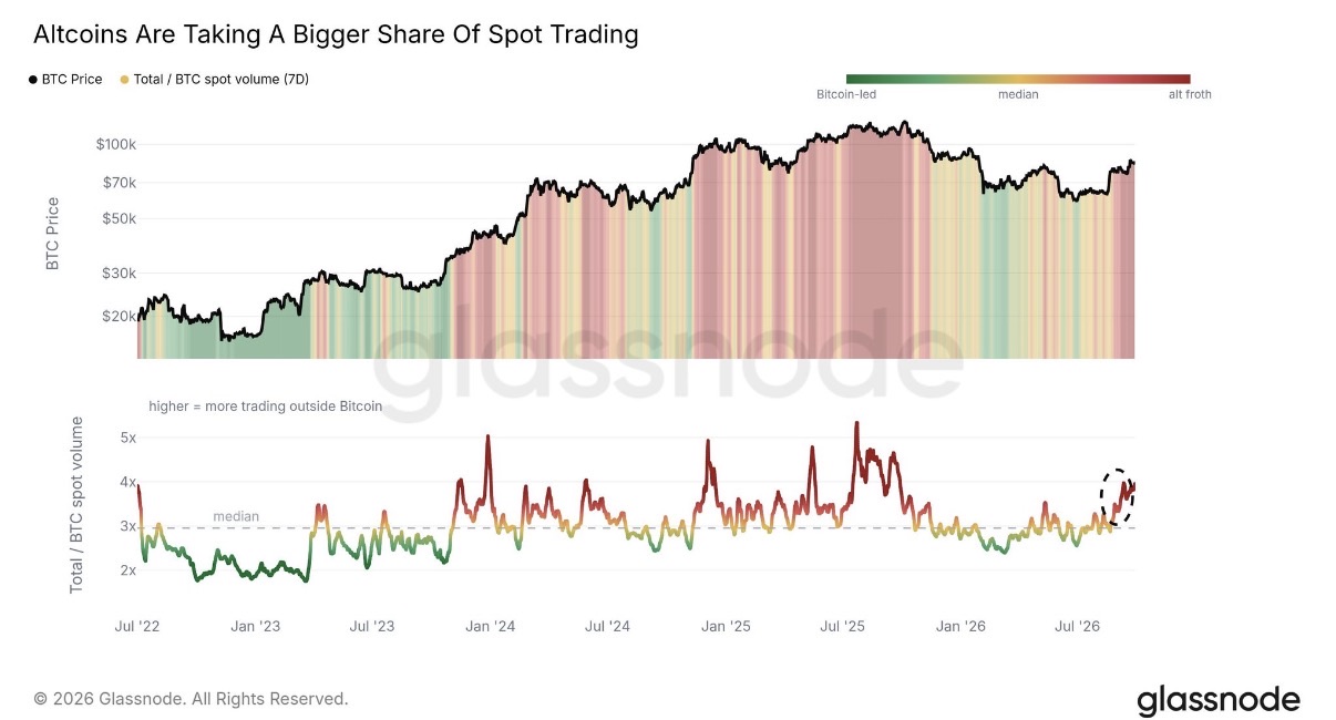 Die Kennzahl im Verlauf. Oben der Bitcoin-Kurs, eingefärbt nach dem Volumenverhältnis, unten das Verhältnis selbst. Der eingekreiste Ausschlag ganz rechts ist der aktuelle. Quelle: Glassnode.