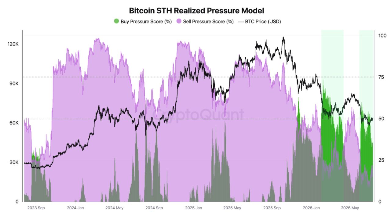 Bitcoin STH Realized Pressure Model. Nach einer langen Phase von Verkaufsdruck (violett) übernimmt am Tief zum ersten Mal wieder der Kaufdruck (grün), während der Preis auf der Kostenbasis der kurzfristigen Halter liegt. Ähnliches Muster wie vor der Erholung im Februar. Quelle: CryptoQuant.