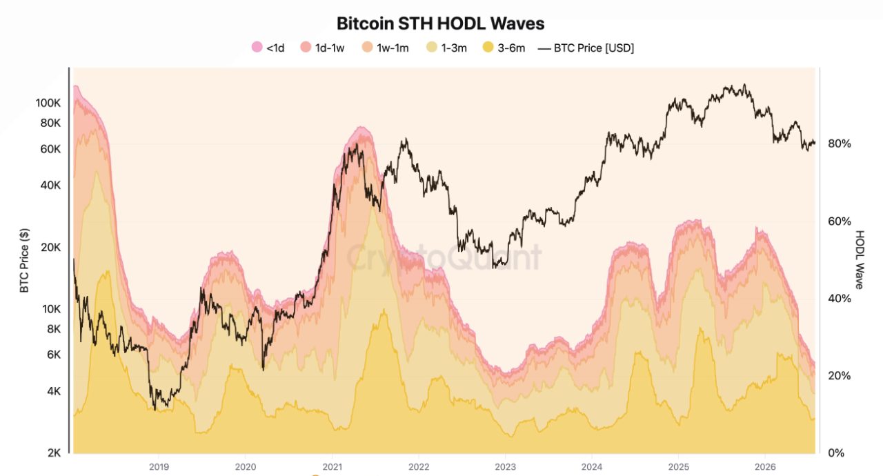 Bitcoin STH HODL Waves. Der Anteil der kurzfristigen Halter ist auf 23 Prozent gefallen, das tiefste Niveau seit der Bodenphase 2022 bis 2023, während die langfristigen Halter Richtung Rekord steigen. Quelle: CryptoQuant.
