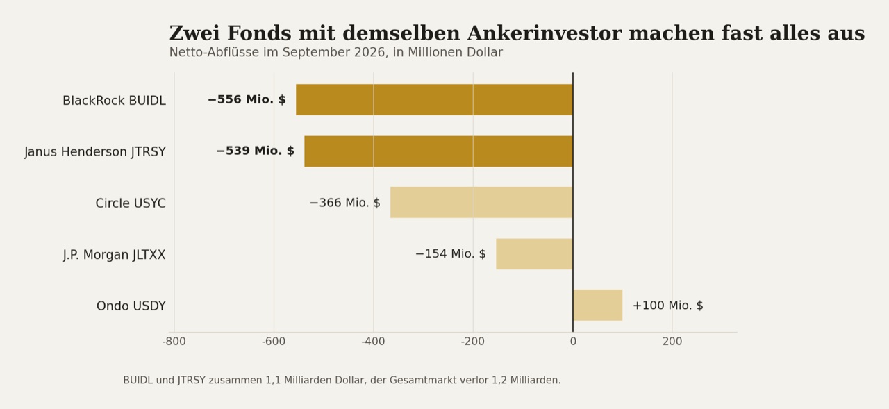 Die Netto-Abflüsse des Monats je Produkt. Ondos USDY ist das einzige mit einem Zufluss.