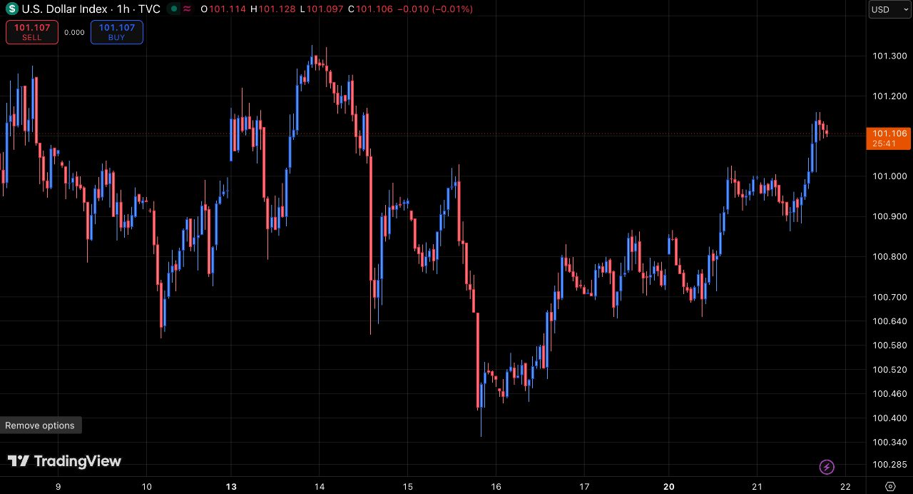 Dollar-Index bei 101,1