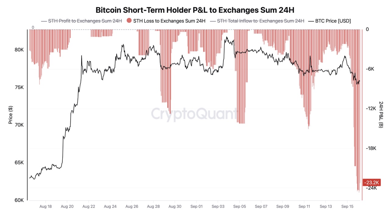 Verluste kurzfristiger Halter auf die Börsen im 24-Stunden-Fenster, klarer Ausschlag zum Wochenende. Quelle: CryptoQuant.